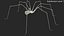 3D Pholcus Phalangioides