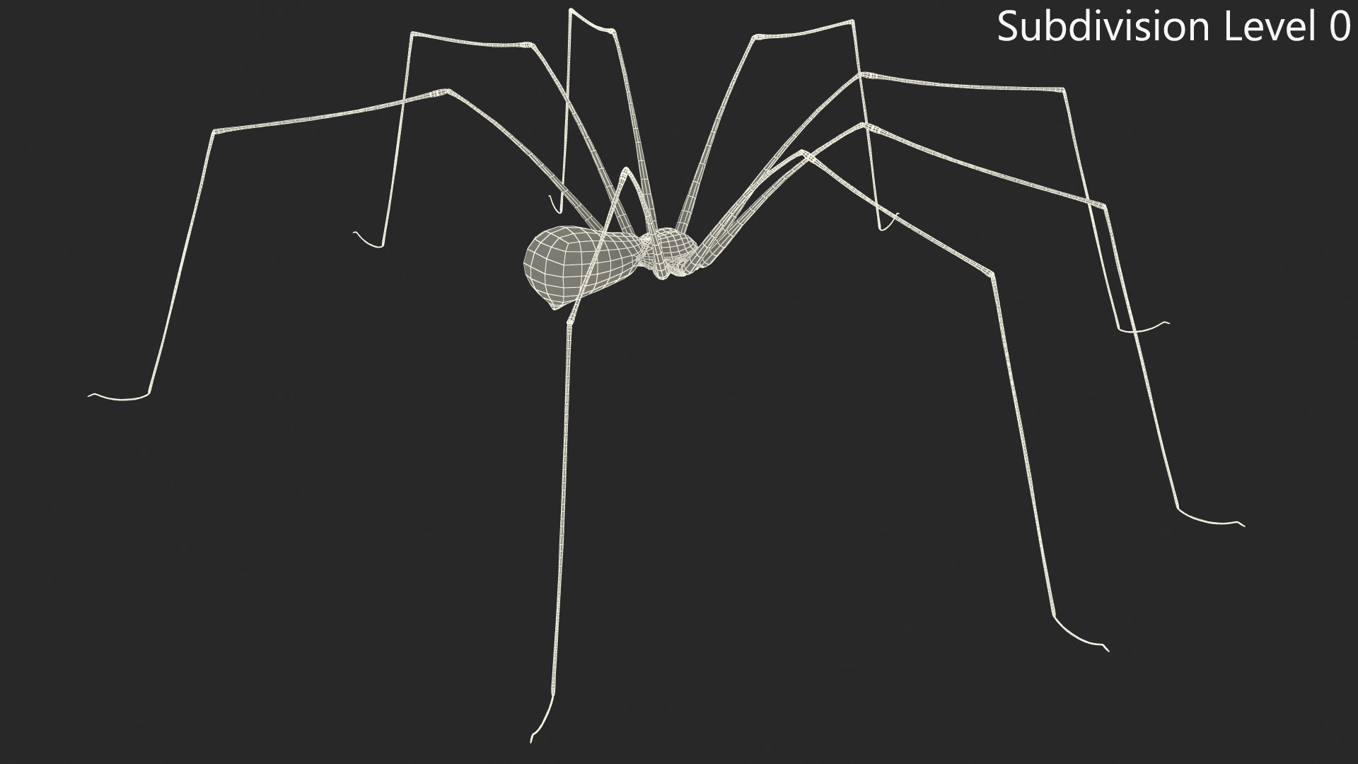 3D Pholcus Phalangioides https://p.turbosquid.com/ts-thumb/lN/2OY6HD/F3/pholcusphalangioidesmb3dmodel016/jpg/1713925925/1920x1080/fit_q87/af1a981449192dd8bd4929143d7417e29e0123d3/pholcusphalangioidesmb3dmodel016.jpg