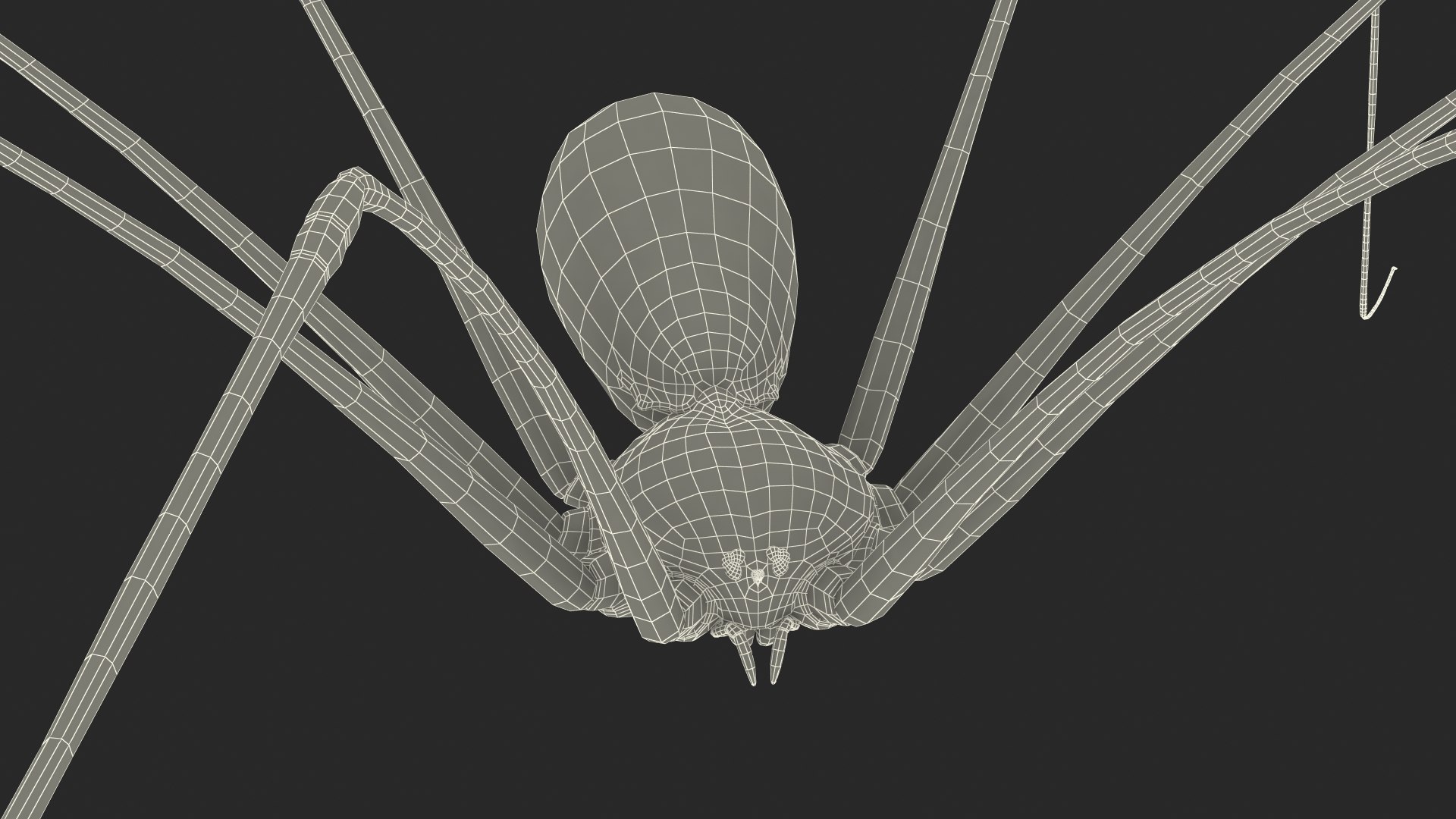 3D Pholcus Phalangioides https://p.turbosquid.com/ts-thumb/lN/2OY6HD/GC/pholcusphalangioidesmb3dmodel029/jpg/1713925968/1920x1080/fit_q87/e32b2dabc2b2f8cf96d3318dd60975c24de1d98a/pholcusphalangioidesmb3dmodel029.jpg