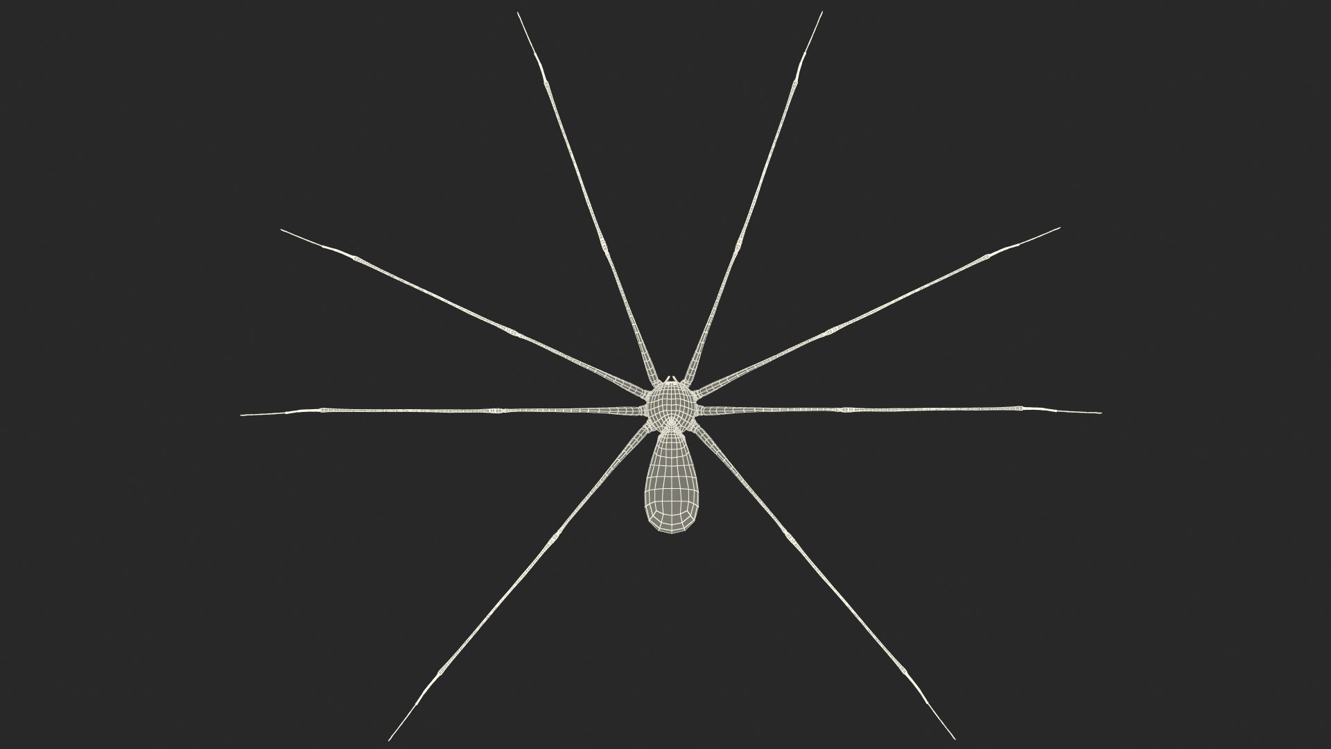 3D Pholcus Phalangioides https://p.turbosquid.com/ts-thumb/lN/2OY6HD/OS/pholcusphalangioidesmb3dmodel025/jpg/1713925955/1920x1080/fit_q87/c3d57110ce02a9b84df317efe3cb2aa46a22ebfc/pholcusphalangioidesmb3dmodel025.jpg