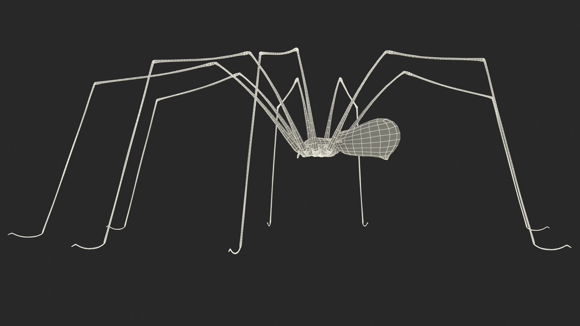 3D Pholcus Phalangioides https://p.turbosquid.com/ts-thumb/lN/2OY6HD/X7/pholcusphalangioidesmb3dmodel026/jpg/1713925958/1920x1080/fit_q87/44356e6eabcb8a16fa76b98b1413af8b16637ff7/pholcusphalangioidesmb3dmodel026.jpg