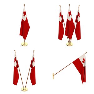 3D flag office cycles model