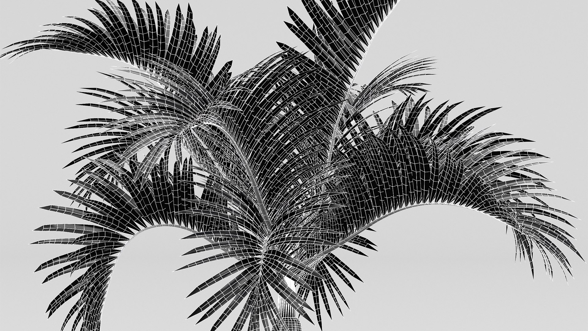Bottle palm tree hyophorbe lagenicaulis 3D https://p.turbosquid.com/ts-thumb/lN/97iKOA/3d/z0700/png/1718797825/1920x1080/fit_q87/dfa6e6c2374b5ef12b953bd60306e1ed59c4dc4d/z0700.jpg