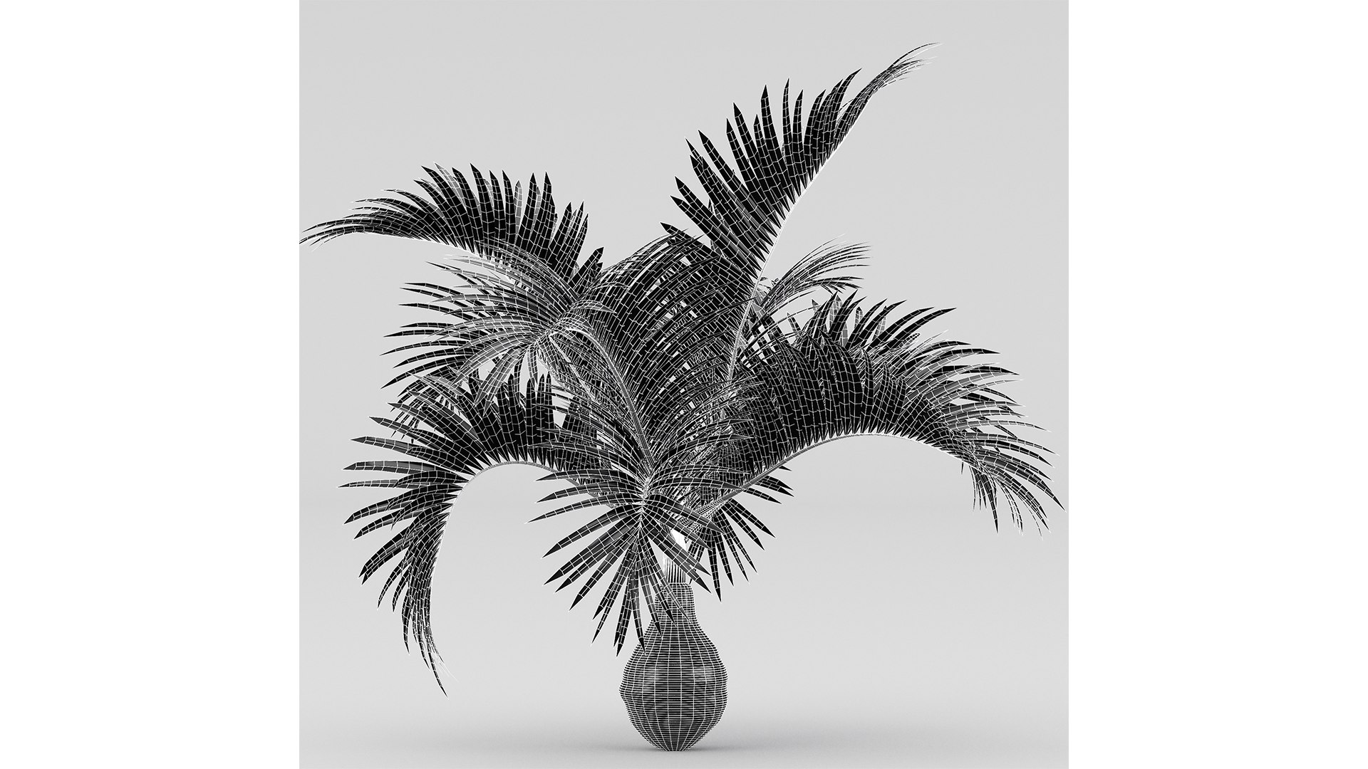 Bottle palm tree hyophorbe lagenicaulis 3D https://p.turbosquid.com/ts-thumb/lN/97iKOA/I6/z06/png/1718797722/1920x1080/fit_q87/2da3007a8bfd261214c90d3467b4aadb164e2e4c/z06.jpg