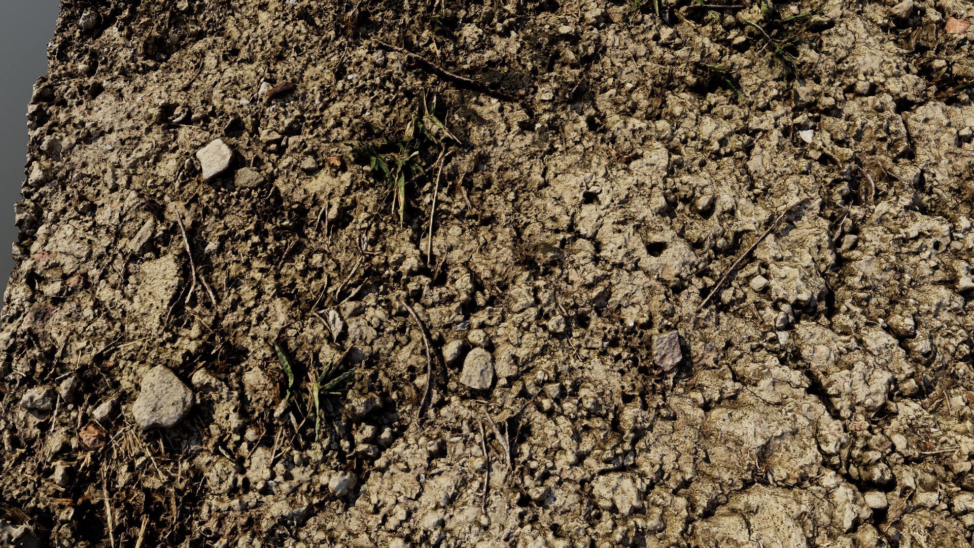 scandirt011 3D model https://p.turbosquid.com/ts-thumb/lN/9Z75nm/a1/screenshot031/jpg/1663314230/1920x1080/fit_q87/edc2e76788824b1e011d47ec88e274f8aa04d658/screenshot031.jpg