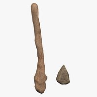 Prehistoric Tools