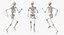 Męskie Ciało ze Skeleton Running Pose