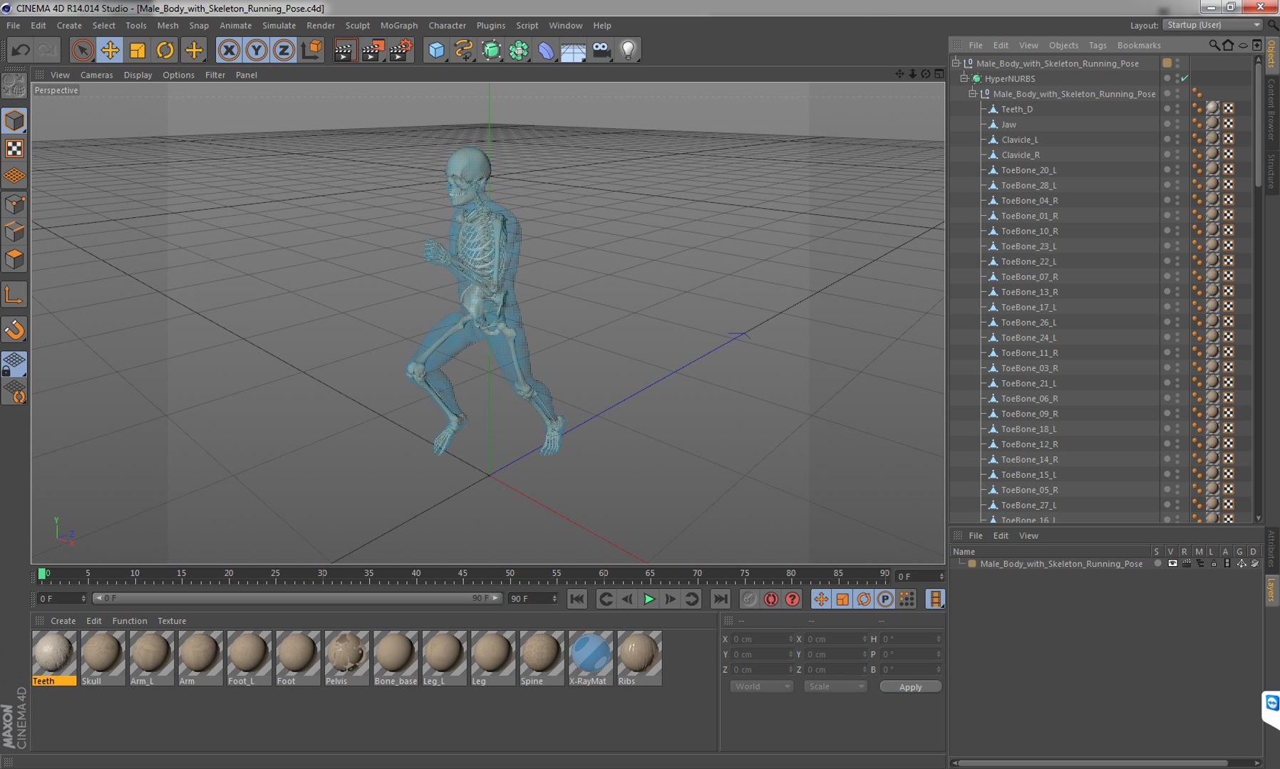 male body skeleton running 3D model https://p.turbosquid.com/ts-thumb/lN/QrrvFu/cSnlvwU4/malebodywithskeletonrunningpose3dmodel016/jpg/1512114404/1920x1080/fit_q87/18807839313af86fd4f6248a4688155fd0058435/malebodywithskeletonrunningpose3dmodel016.jpg
