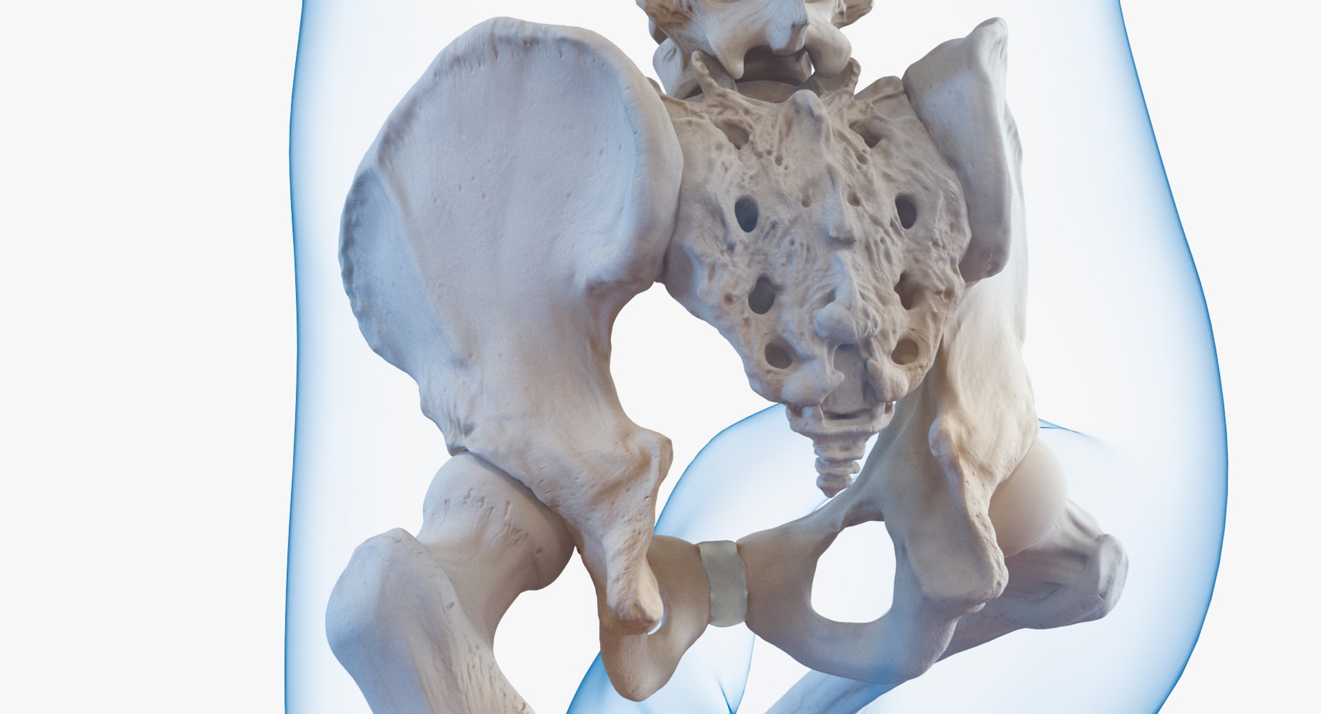 male body skeleton running 3D model https://p.turbosquid.com/ts-thumb/lN/QrrvFu/tncon30i/malebodywithskeletonrunningpose3dmodel010/jpg/1512114380/1920x1080/fit_q87/b2359b82fe1b427fe10784c14660069a930d7c57/malebodywithskeletonrunningpose3dmodel010.jpg