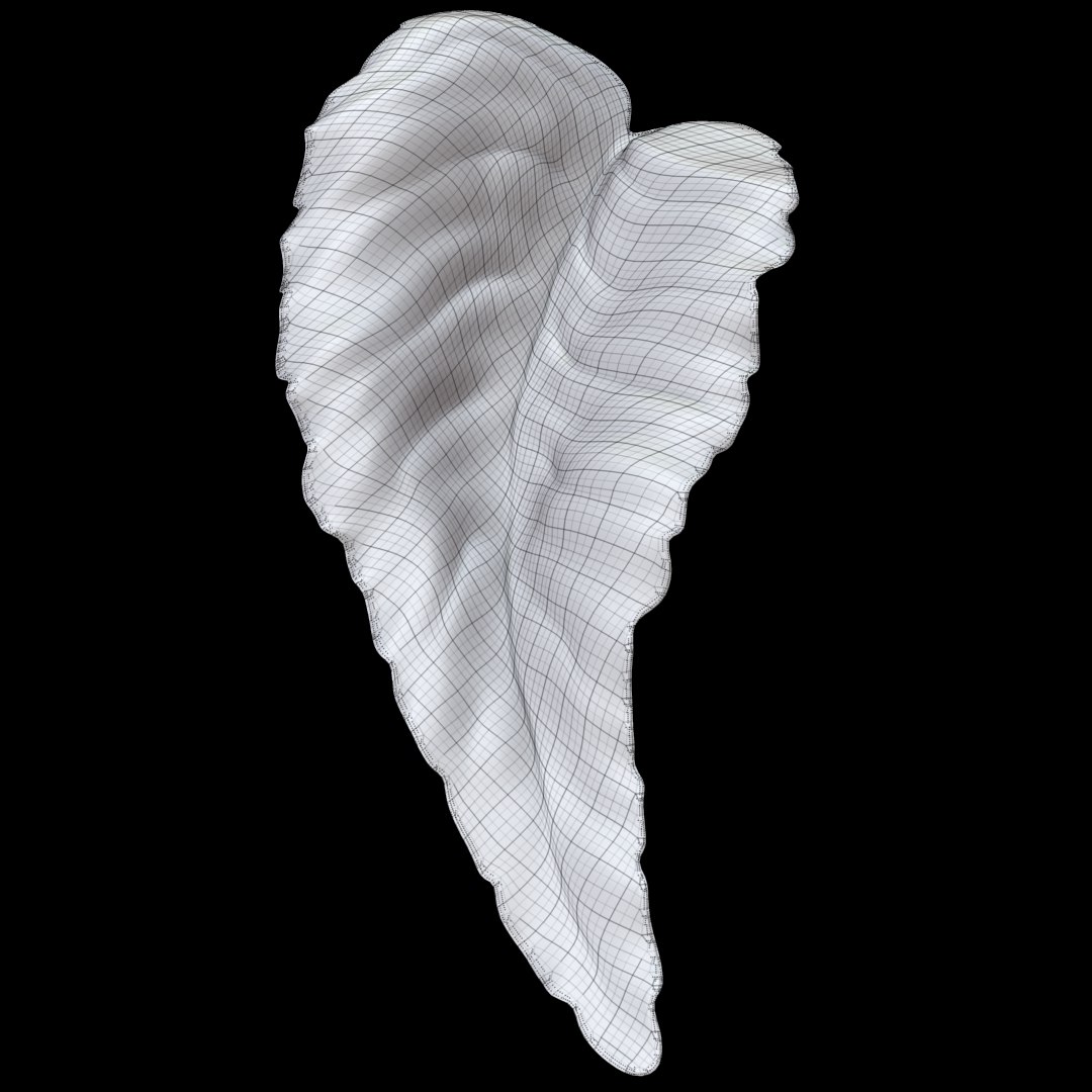 3d Model Leaf