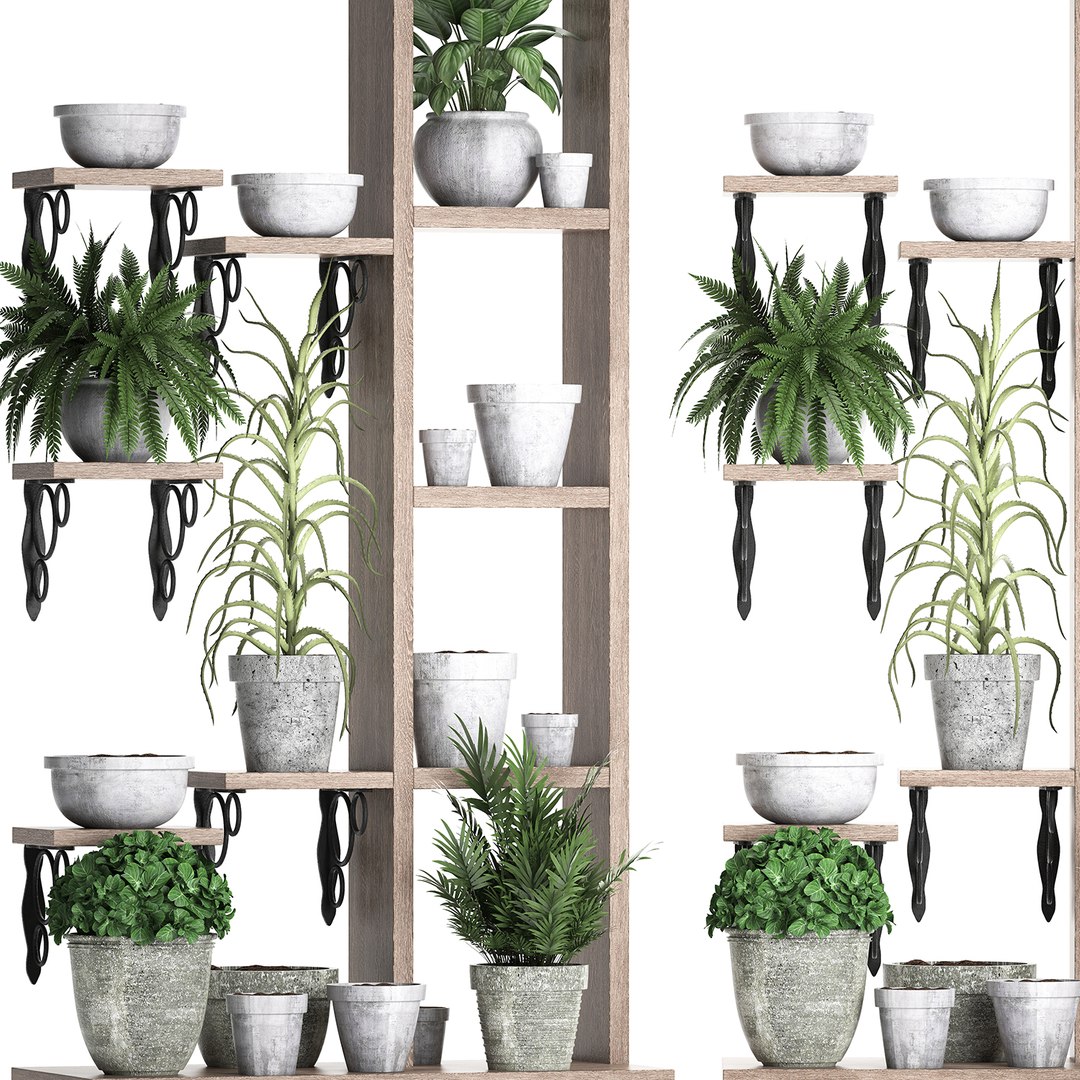 3D model vertical garden plants https://p.turbosquid.com/ts-thumb/lN/hGU6V2/2Zr36oMn/plantshelf11082019003/jpg/1565689241/1920x1080/fit_q87/5313d2bd4f9a5aa931d97ecd03bb976efcbcd7c7/plantshelf11082019003.jpg