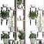 Plants collection Vertical gardening 28 3