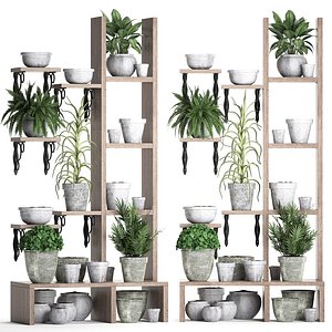 3D model vertical garden plants
