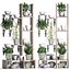 Plants collection Vertical gardening 28 3