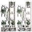 Plants collection Vertical gardening 28 3