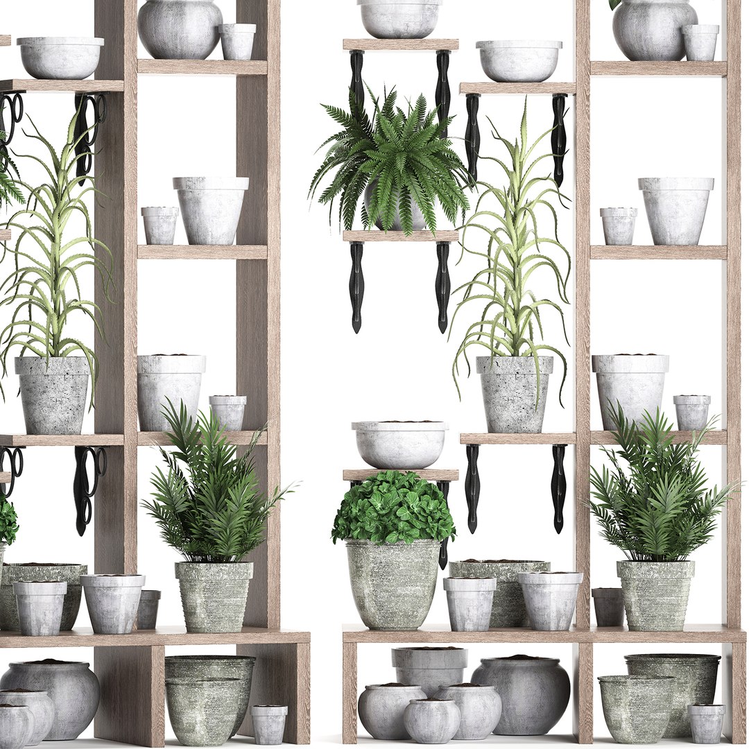 3D model vertical garden plants https://p.turbosquid.com/ts-thumb/lN/hGU6V2/Kt6ovoYx/plantshelf11082019001/jpg/1565689241/1920x1080/fit_q87/e4b7f59615377857a460b18ad7c4047309868ff3/plantshelf11082019001.jpg