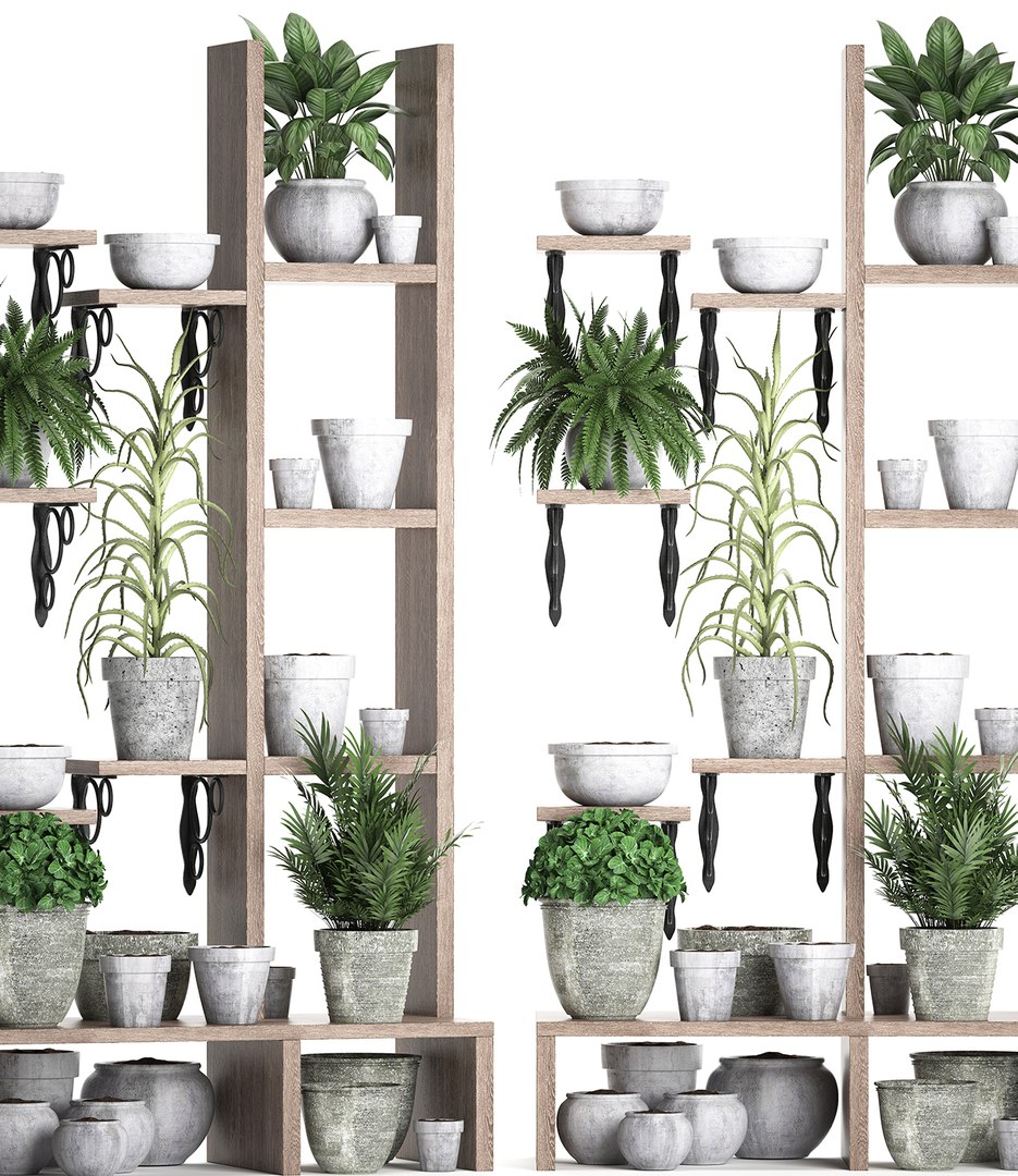 3D model vertical garden plants https://p.turbosquid.com/ts-thumb/lN/hGU6V2/SCp2hpk1/plantshelf11082019004/jpg/1565689241/1920x1080/fit_q87/1e1a2d7f2be92f664580128e2888ea5612821e32/plantshelf11082019004.jpg