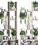 Plants collection Vertical gardening 28 3