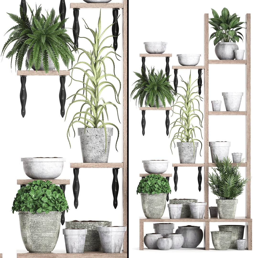 3D model vertical garden plants https://p.turbosquid.com/ts-thumb/lN/hGU6V2/WOblaojR/plantshelf11082019005/jpg/1565689241/1920x1080/fit_q87/7ed68be32462ff50ecd0426d7cd3532eeacf844a/plantshelf11082019005.jpg