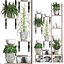 Plants collection Vertical gardening 28 3