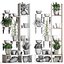 Plants collection Vertical gardening 28 3