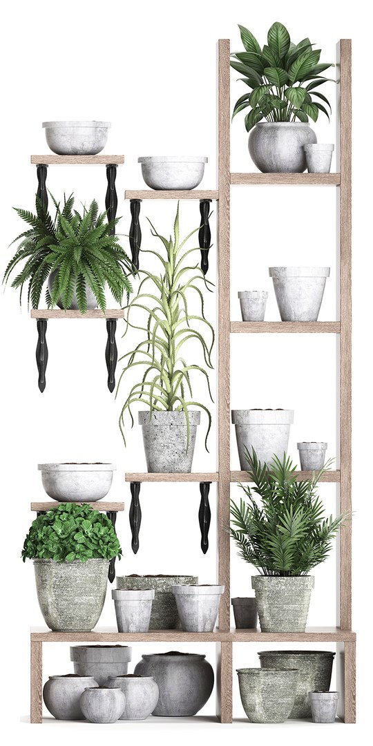3D model vertical garden plants https://p.turbosquid.com/ts-thumb/lN/hGU6V2/qrJLkjy6/plantshelf11082019002/jpg/1565689241/1920x1080/fit_q87/3f317492738c54797ee5b7c2d562122ae87a803e/plantshelf11082019002.jpg
