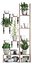 Plants collection Vertical gardening 28 3