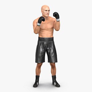adult boxer man rigged 3d model