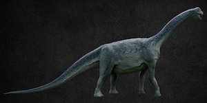 dinosaur camarasaurus model