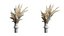 Dry Bouquet Deco 10