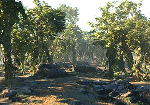Animated Jungle HD
