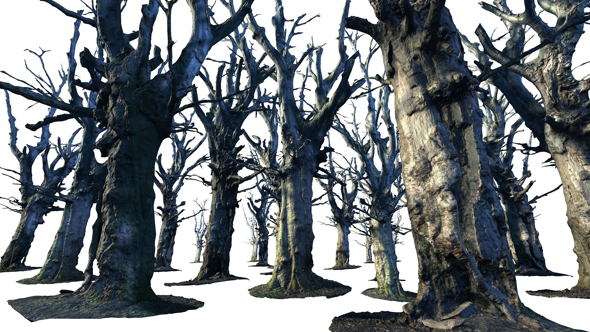 3d obj old forest https://p.turbosquid.com/ts-thumb/lO/eS7tVs/H5T14Loa/468/jpg/1420426959/1920x1080/fit_q87/1a7c436417bd747af7df48cd8e2a329363ac633c/468.jpg