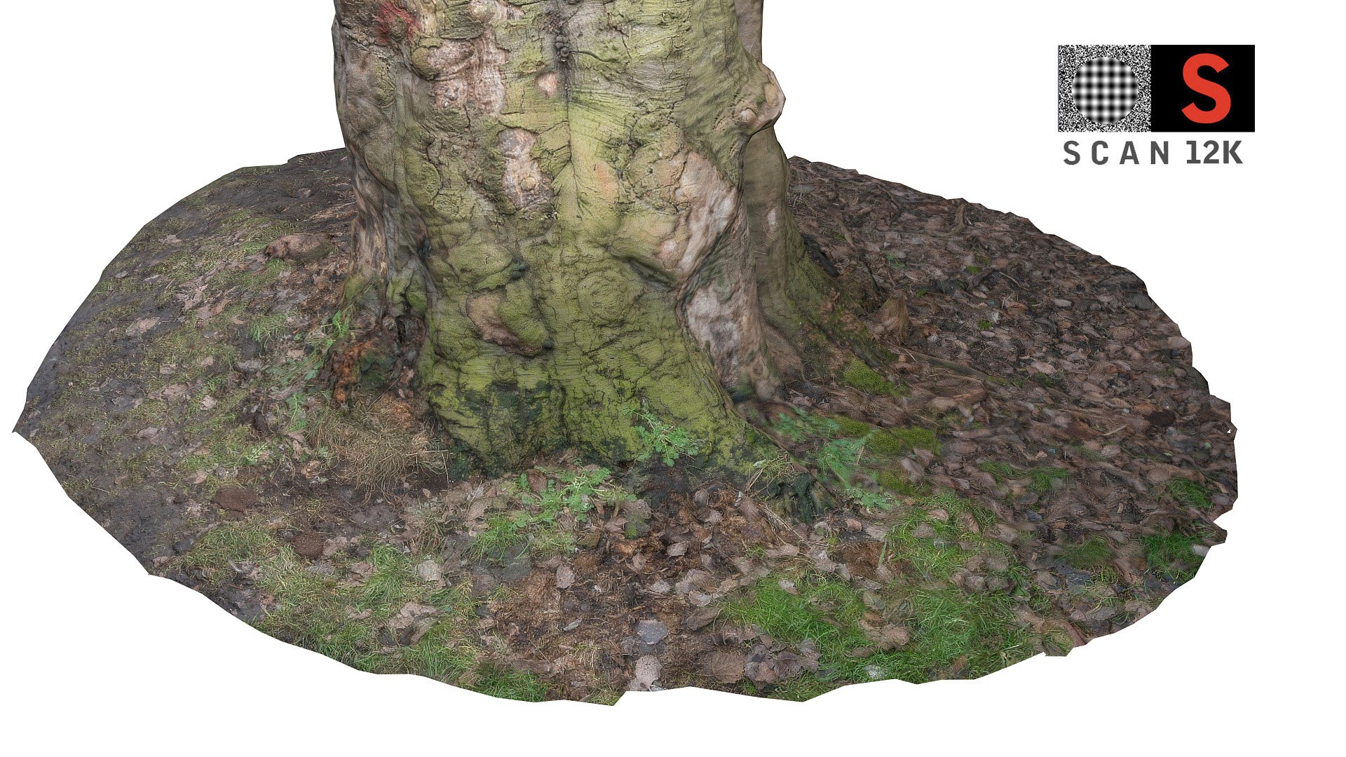 3d obj old forest https://p.turbosquid.com/ts-thumb/lO/eS7tVs/QSaa7CBH/t1/jpg/1420429129/1920x1080/fit_q87/77c6287a67c2ff88d396c936f8669f9624b0853a/t1.jpg