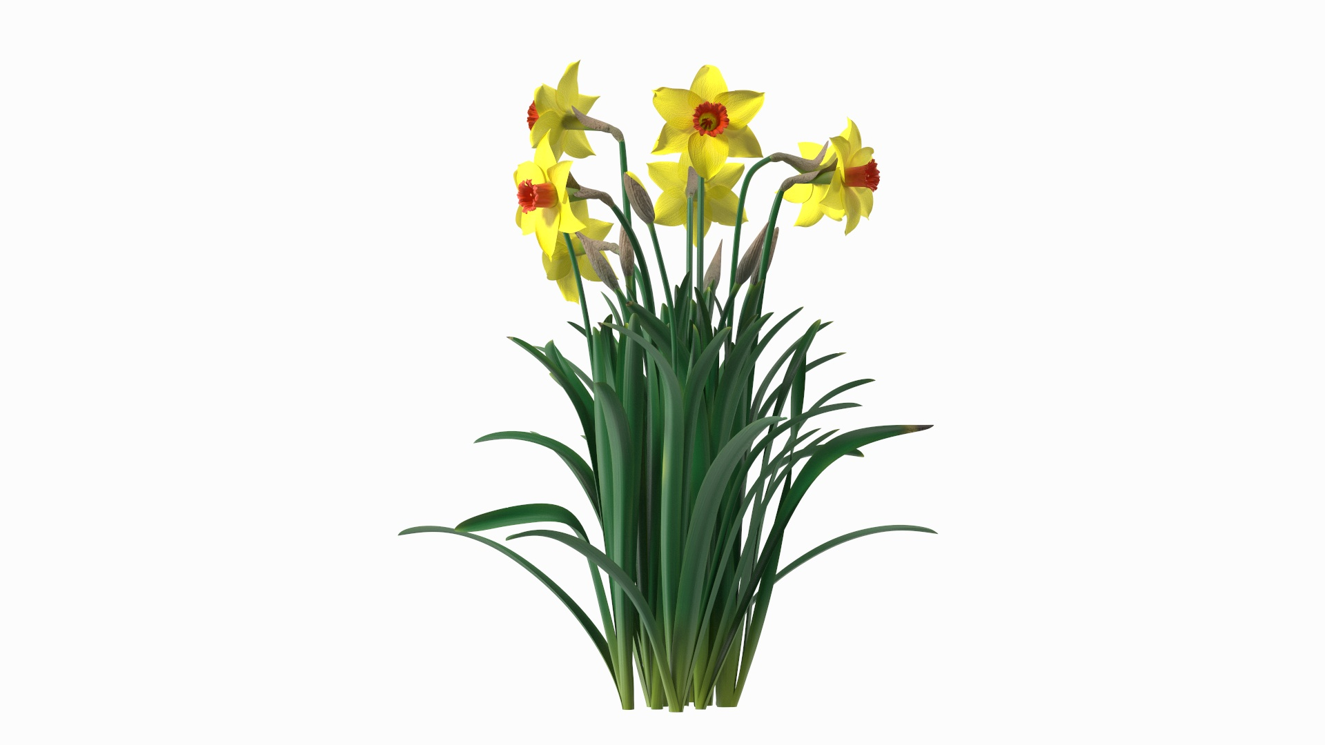 3D Model Yellow Flowering Plants Collection - TurboSquid 2108458