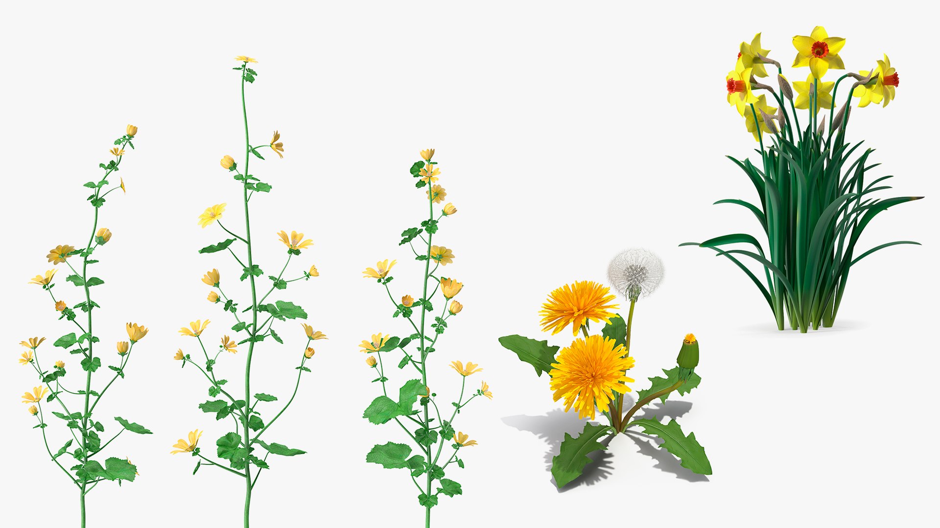 3D Model Yellow Flowering Plants Collection - TurboSquid 2108458