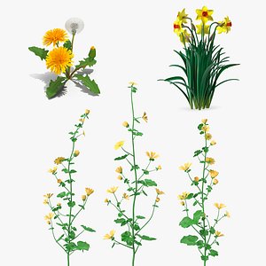 3D model Yellow Flowering Plants Collection