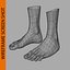 Human Female Feet