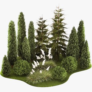 3D Garden of thuja and cypress trees with pampas grass bushes 1154 model