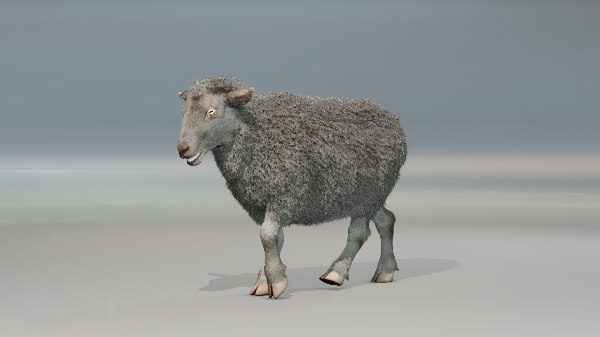 Black Sheep Rigged Animated With Fur Model TurboSquid 2168422
