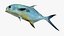 Permitir Peixe