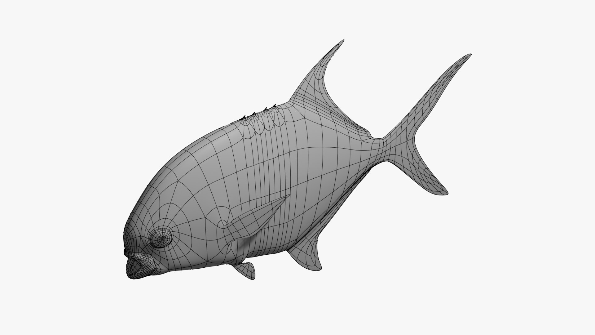 PermitFish 3D model https://p.turbosquid.com/ts-thumb/lP/2O3D0S/Zl/wireframe1/jpg/1645120718/1920x1080/fit_q87/05ac24fd1c63bf5a5e9d6c8cbe575396b8e464de/wireframe1.jpg