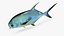 Permitir Peixe