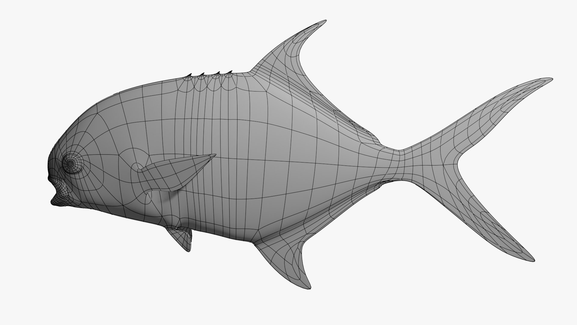 PermitFish 3D model https://p.turbosquid.com/ts-thumb/lP/2O3D0S/cj/wireframe2/jpg/1645120718/1920x1080/fit_q87/8d94251ab22008fddf73c450d3a26e171cf7b1b5/wireframe2.jpg