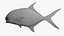 Permitir Peixe