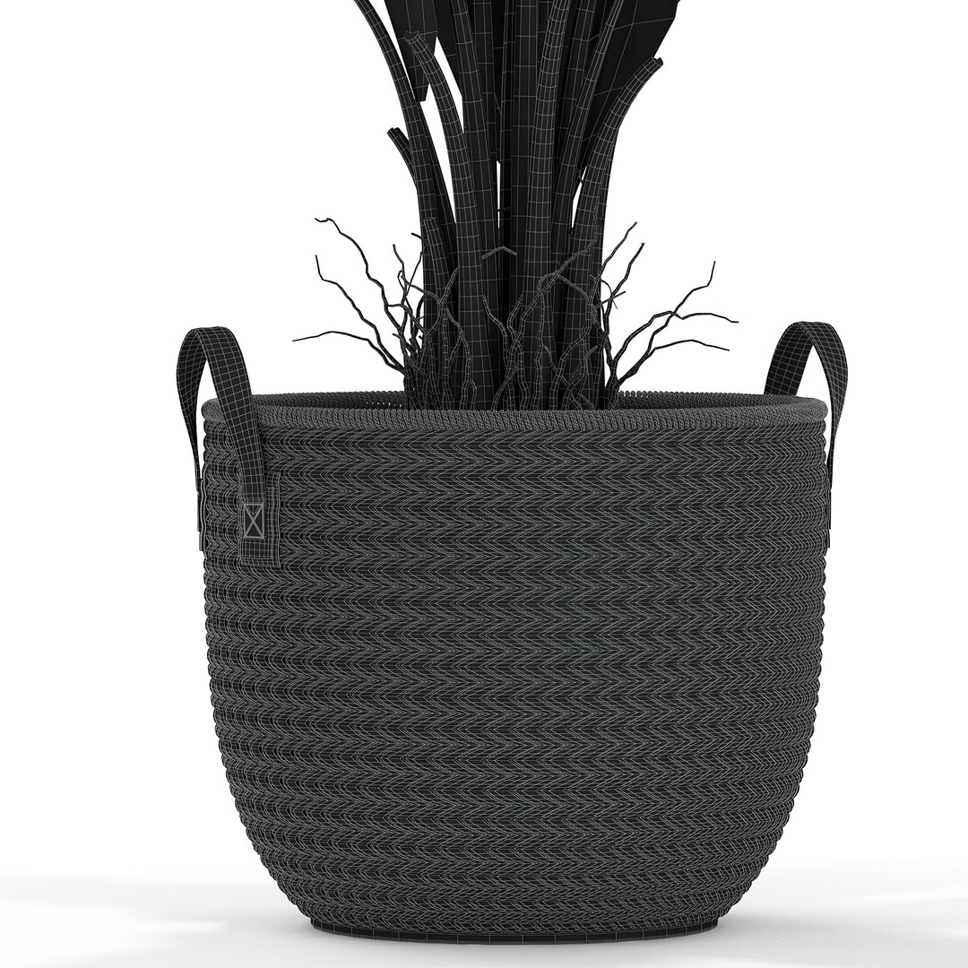plants 3D model https://p.turbosquid.com/ts-thumb/lP/3b1ptx/8t/plant_451_051920scale1_50x/jpg/1615029654/1920x1080/fit_q87/f90a5b52e58f92951c936f279a74f64aad33daa3/plant_451_051920scale1_50x.jpg