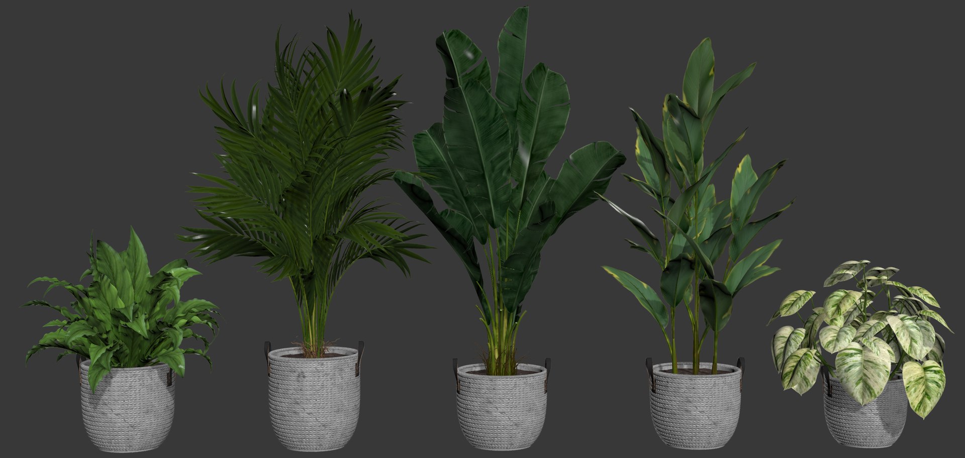 plants 3D model https://p.turbosquid.com/ts-thumb/lP/3b1ptx/Te/w/jpg/1615029645/1920x1080/fit_q87/4ffa40c4ee2d095ace89334fc11a3c77bde7090f/w.jpg