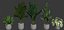 Plants collection 451