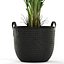 Plants collection 451