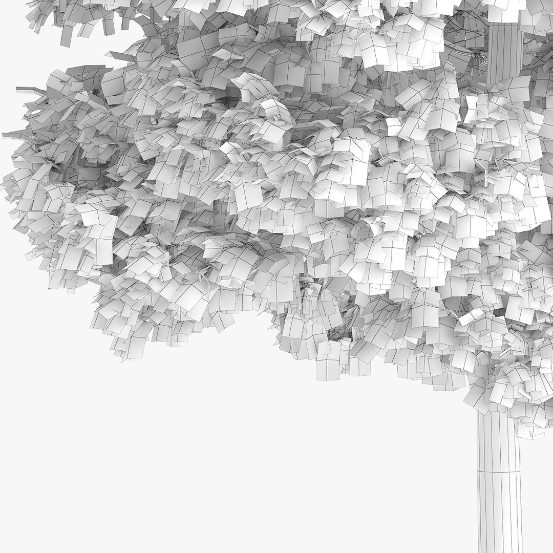 3d yellow birch 12 6m model https://p.turbosquid.com/ts-thumb/lP/BzzMFu/Kt15Hq5J/redpolygon_birch_09_06copy/jpg/1442131202/1920x1080/fit_q87/ca91308d260ad6e761f302ac7b2025bb3b194bfb/redpolygon_birch_09_06copy.jpg