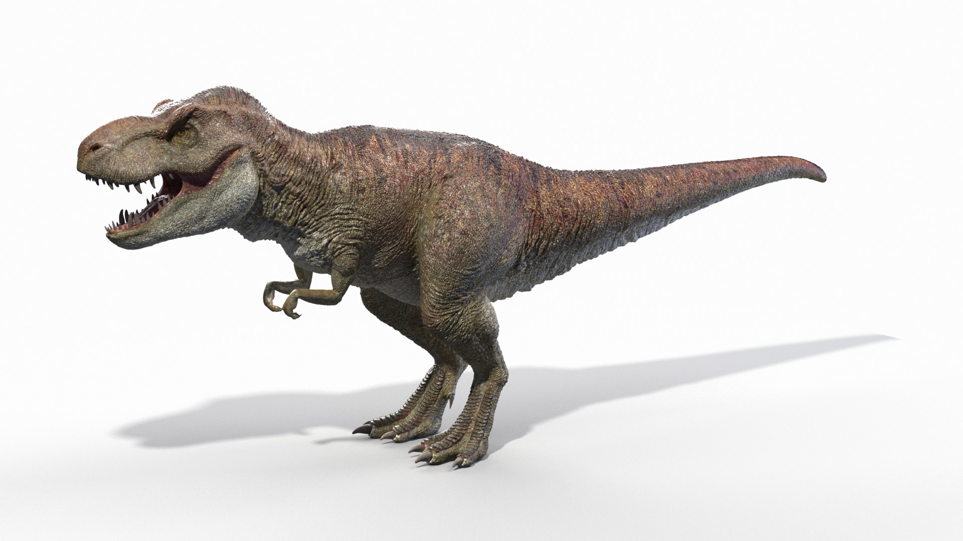 Tyrannosaurus rex running animal 3D model - TurboSquid 1566262